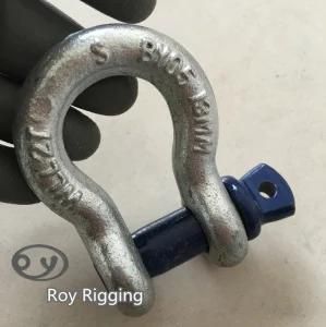 Carbon Steel Lifting Shackle with Screw Pin