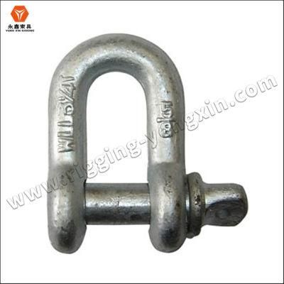Forged Stainless Steel Screw Pin Anchor Shackles D Link Shackle
