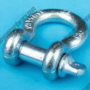 Screw Pin Us Type Drop Forged Shackle