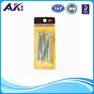 Concrete Nails 6PCS in One Pack