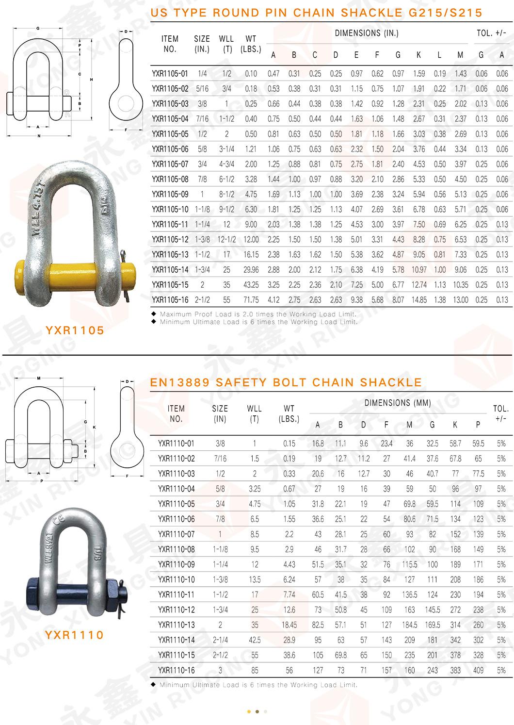 Shackle Bolt Brave Gold Factory Supply Stainless Steel 304/316 Shackle with Safety Bolt Pin