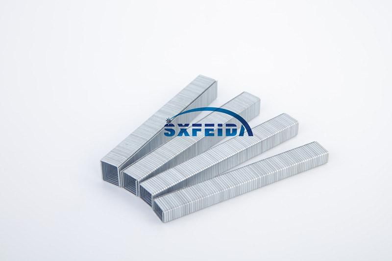 50series Staples
