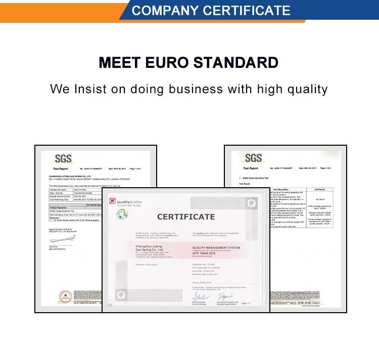 SGS Certificated Car Lift Gas Spring