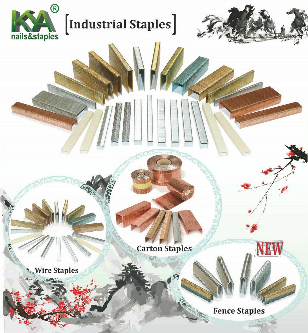 Haubold Bkdp Series Staples for Building and Packaging