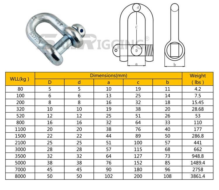 Chinese Manufacture Lifting D Ring Anchor Shackle