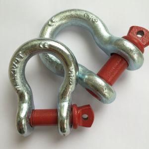 Large Type Different Size Customed D Type Shackle for Sale