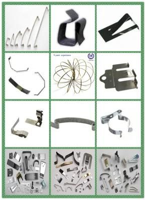 Custom Any Shape Wire Forming Leaf Spring Wire