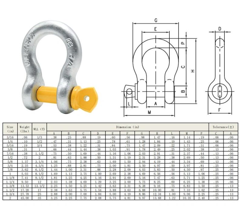 Drop Forged Galvanized Us Type G209 Screw Pin Anchor Shackle