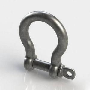 Drop Forged Hot Dipped Galvanized Screw Pin D Type Shackle