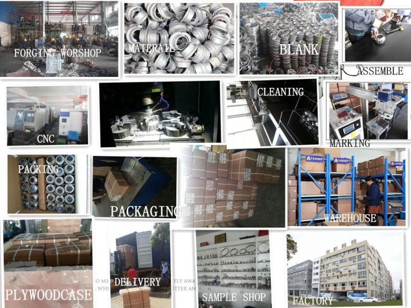 Sanitary Stainless Steel Pipe Fitting Double Pin Clamp