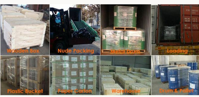 Wholesale Hardware Rigging Galvanized Drop Forged Carbon Steel Shape Chain