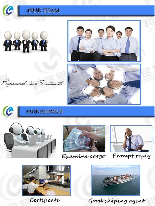 China Manufacturer of G80 Bolt Type G2150 Dee Shackle