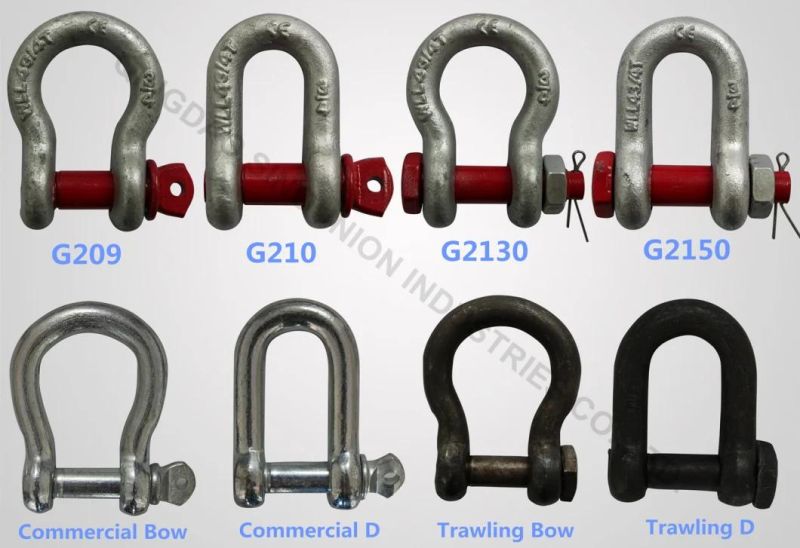 U. S. Type Forged Screw Pin Anchor Shackle G209