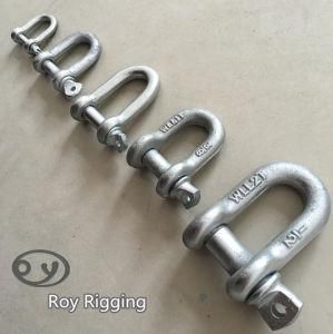 Forged Steel Anchor Shackle