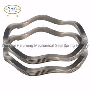 High Standard China Factory Custom Crest-to-Crest Wave Springs