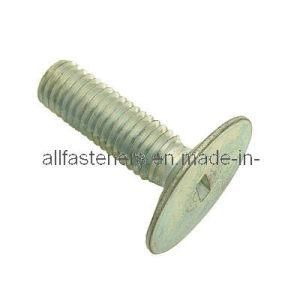 Stainless Steel Elevator Bolt (GR-EB025)