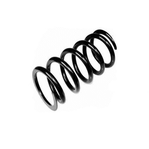OEM Type and Specification Suspension Spring for Automobiles