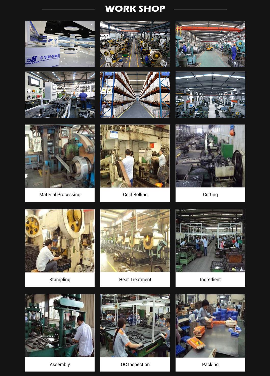 Customized DONGHUA Roller China Agricultural Leaf Industry Driving hangzhou chains chain hardware
