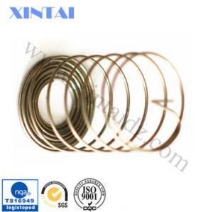 ISO9001 Stainless Steel Circle Compression Spring With A Tail