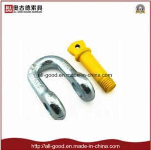 Us Type Forged Shackle with Painted Screw Pin
