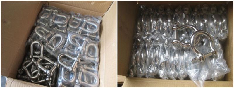 Stainless Steel European Type Large Bow Shackle AISI304 AISI316