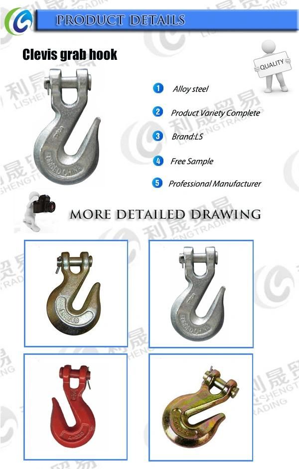 Customized Size Alloy Steel Forged Clevis Slip Hooks Made in China