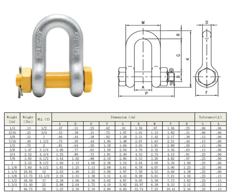 Rigging Hardware Lifting Chain G2150 Alloy Steel D Shackle