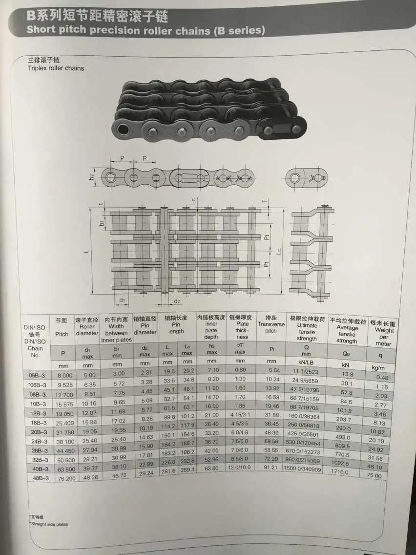 B Series Short Pitch Precision Roller Chains (triplex)