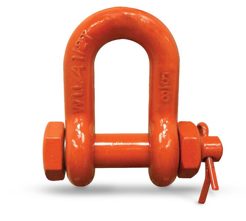 China 20 Years Factory Standard Sizes Dee Shackles for Chain Lifting Heavy Industry