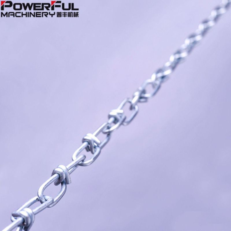 Us Type Nacm2010 Double Loop Chain