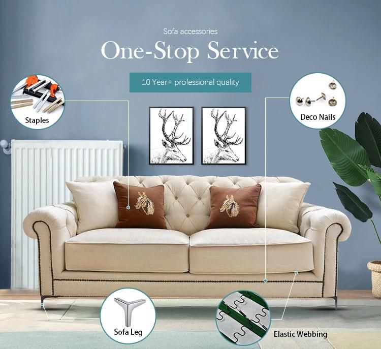 Best Quality Sofa Springs for Sofa Seat and Back Zigzag Springs Furniture Hardware