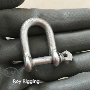 Us Spec Dee Type Shackle with Screw Pin