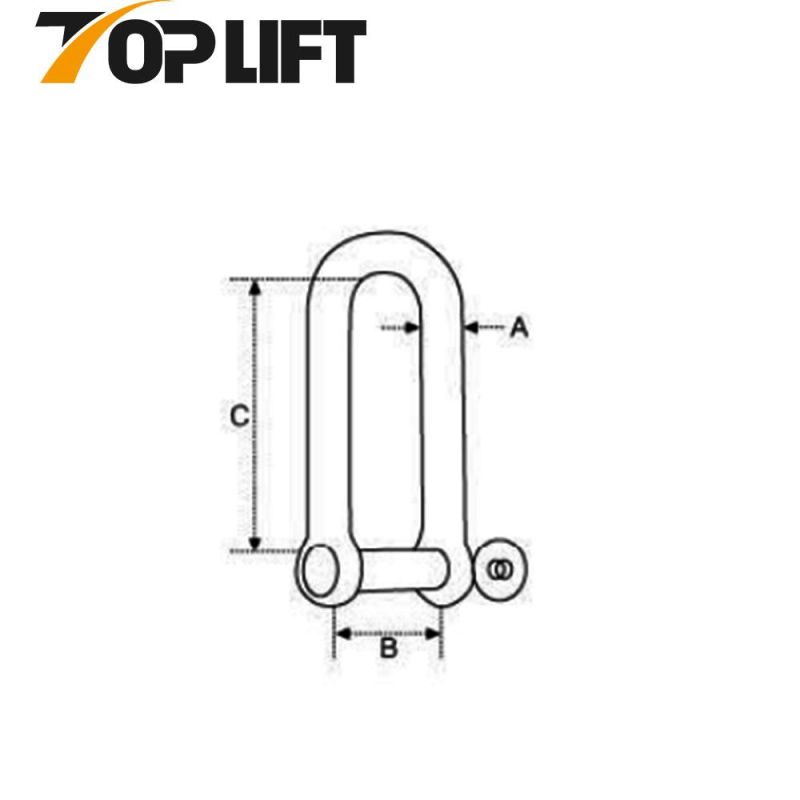 Stainless Steel Long D Type Shackle with Screw