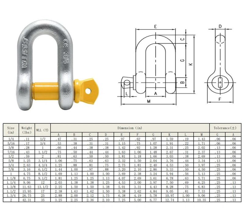 China Factory D Shackle Forged D-Shaped Bow Galvanized G210 Shackle