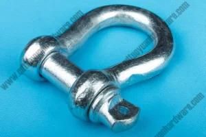 Commercial Type Shackle Screw Pin Anchor Shackle