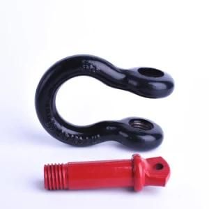 Bow Shackle Type High Strength Shackle with D Type