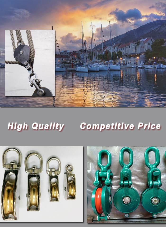 Stainless Steel Double Swivel Pulley Blocks with Ring