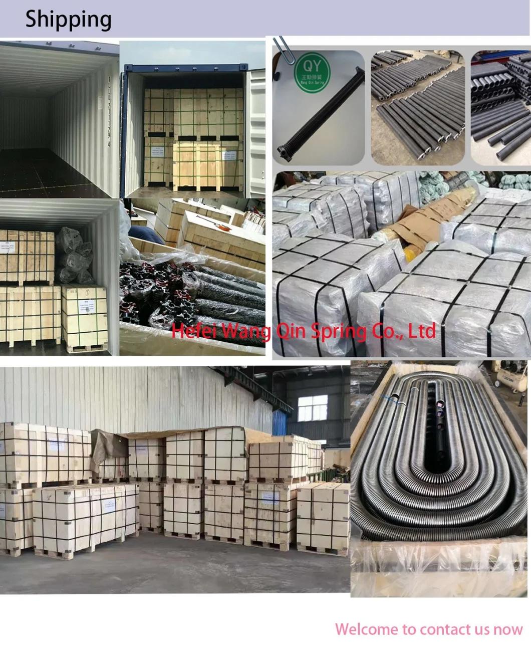 OEM Electrical Door Spring Torsion Spring with Great Techniques & Experience