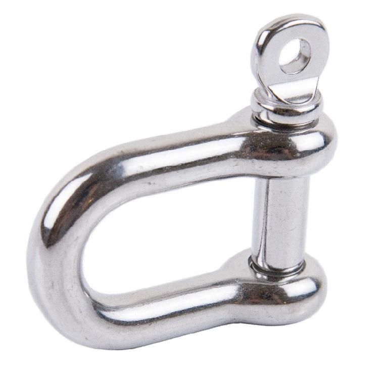 High Quality Stainless Steel 316 Lifting D Shackle