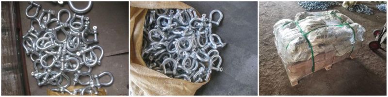 European Type Commercial Bow Shackles