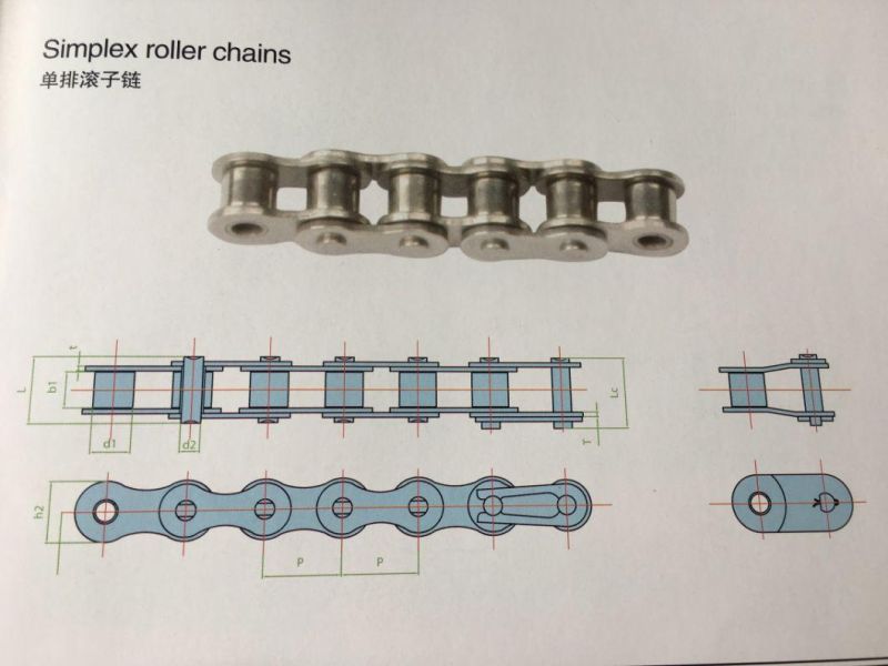 Stainless Steel Simplex Short Pitch Precision Roller Chains (B series)