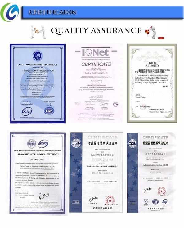 China Manufacturer of Alloy Steel Forged Clevis Slip Hook