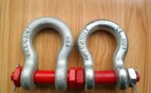Crosby Bolt Type Shackles G-2130/S-2130