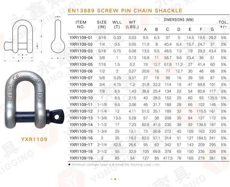 Wholesale Hardware Rigging Galvanized Us Type Drop Forged Carbon Steel G210 Shackle Straight Dee D Shape Chain Anchor Shackle