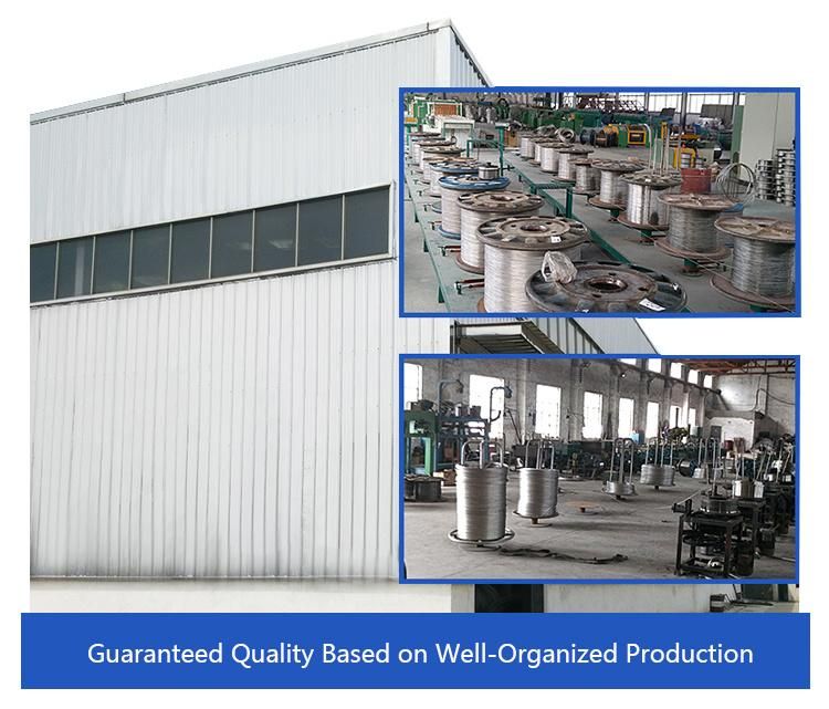 Commercial Type Electro-Galvanized Wire Rope Thimble