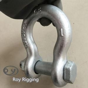 Bolt Type Anchor Shackle