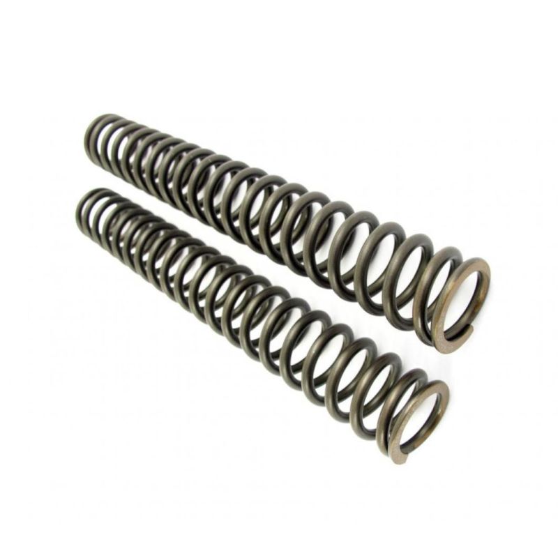 Pneumatic Compression Spring