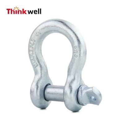 High Tensile Galvanized Carton Steel D-Shackle