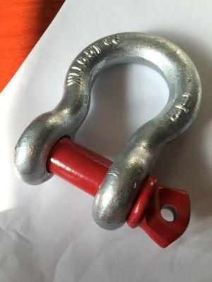 Wholesale Galvanized G209 Bow Shackle