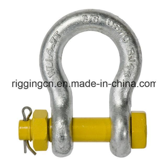 Galvanized Bow Shackle and D Shackle for Lifting Ring